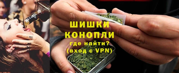 ГАЛЛЮЦИНОГЕННЫЕ ГРИБЫ Новодвинск